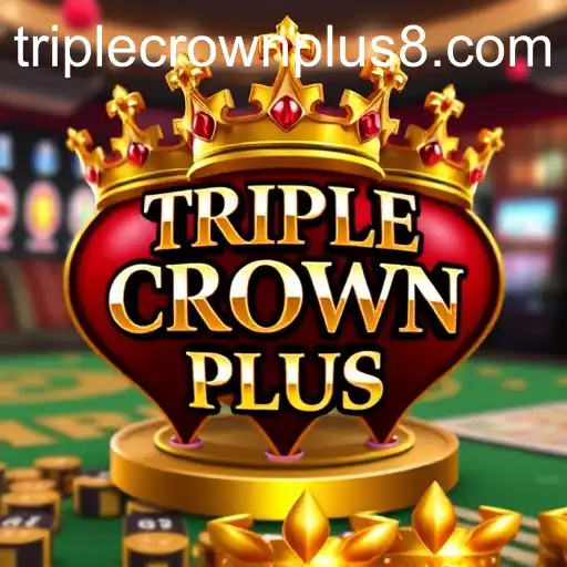 Exploring Casino Games: Understanding the Excitement of 